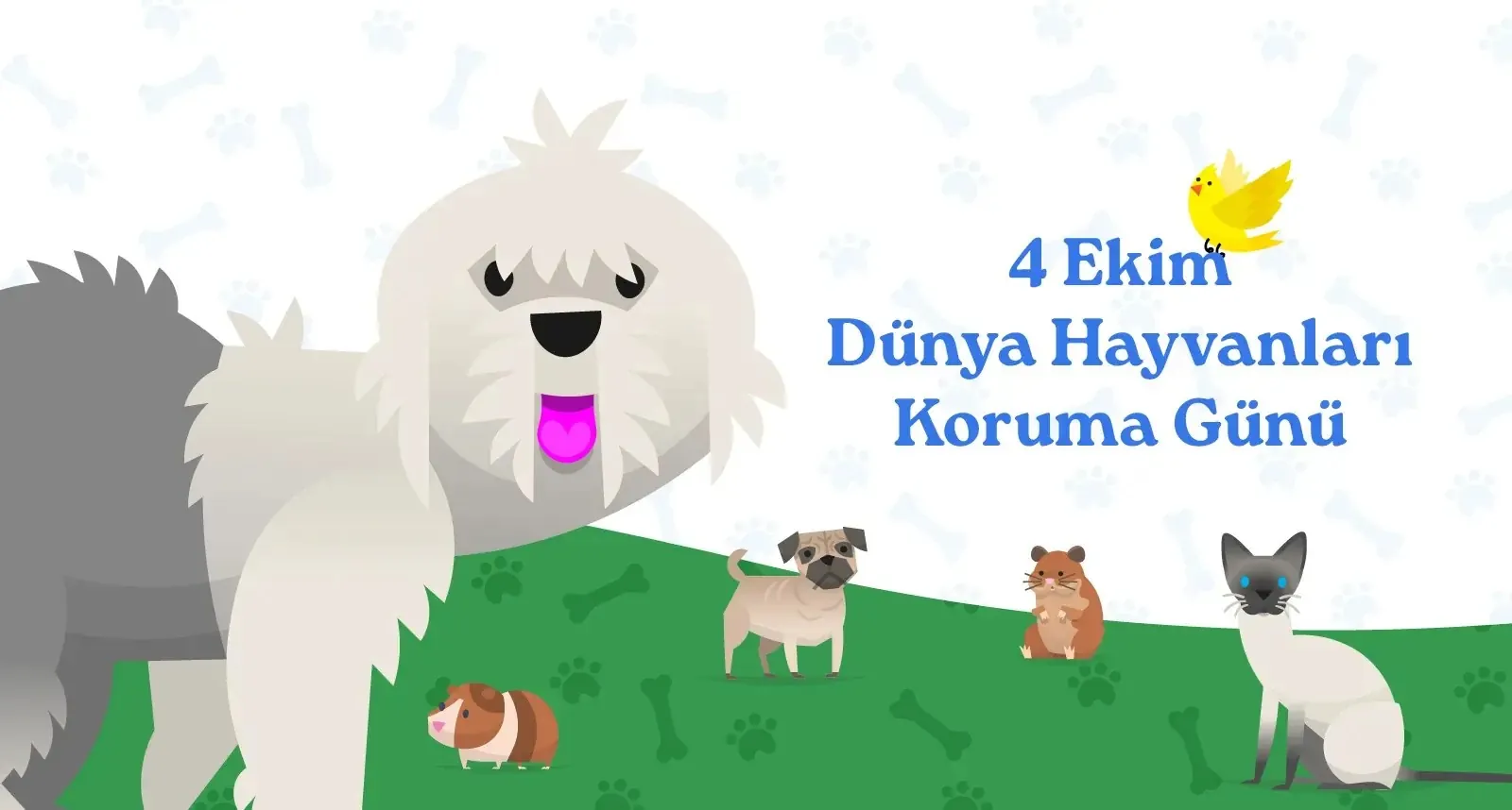 What do consumers expect from brands in their October 4 World Animal Day communications?