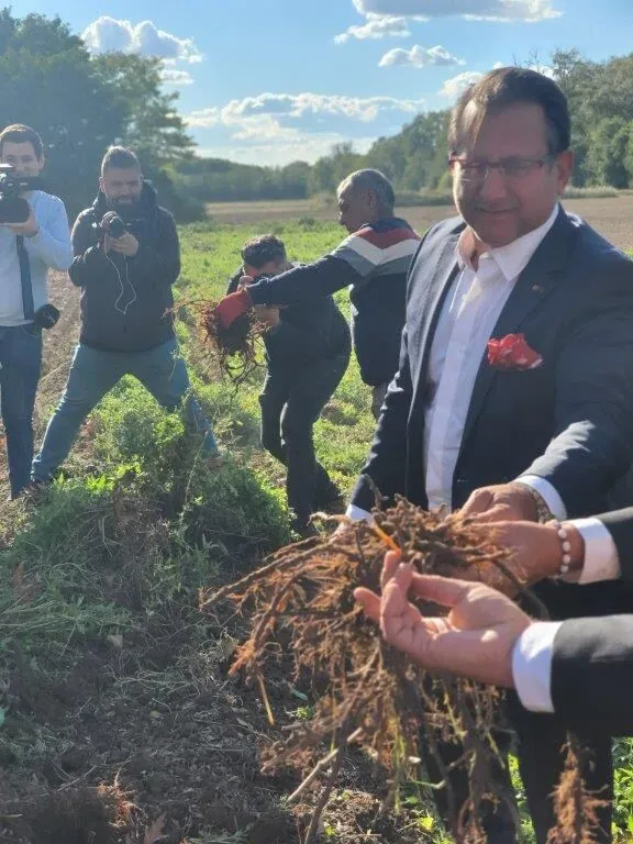 Edirne Kırmızısı'nın eşsiz rengi Kiğılı ile hasat günü şenliğinde yeniden hayat buldu — görsel 4